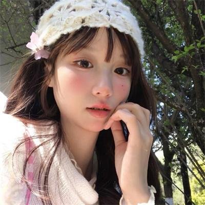 海龟们